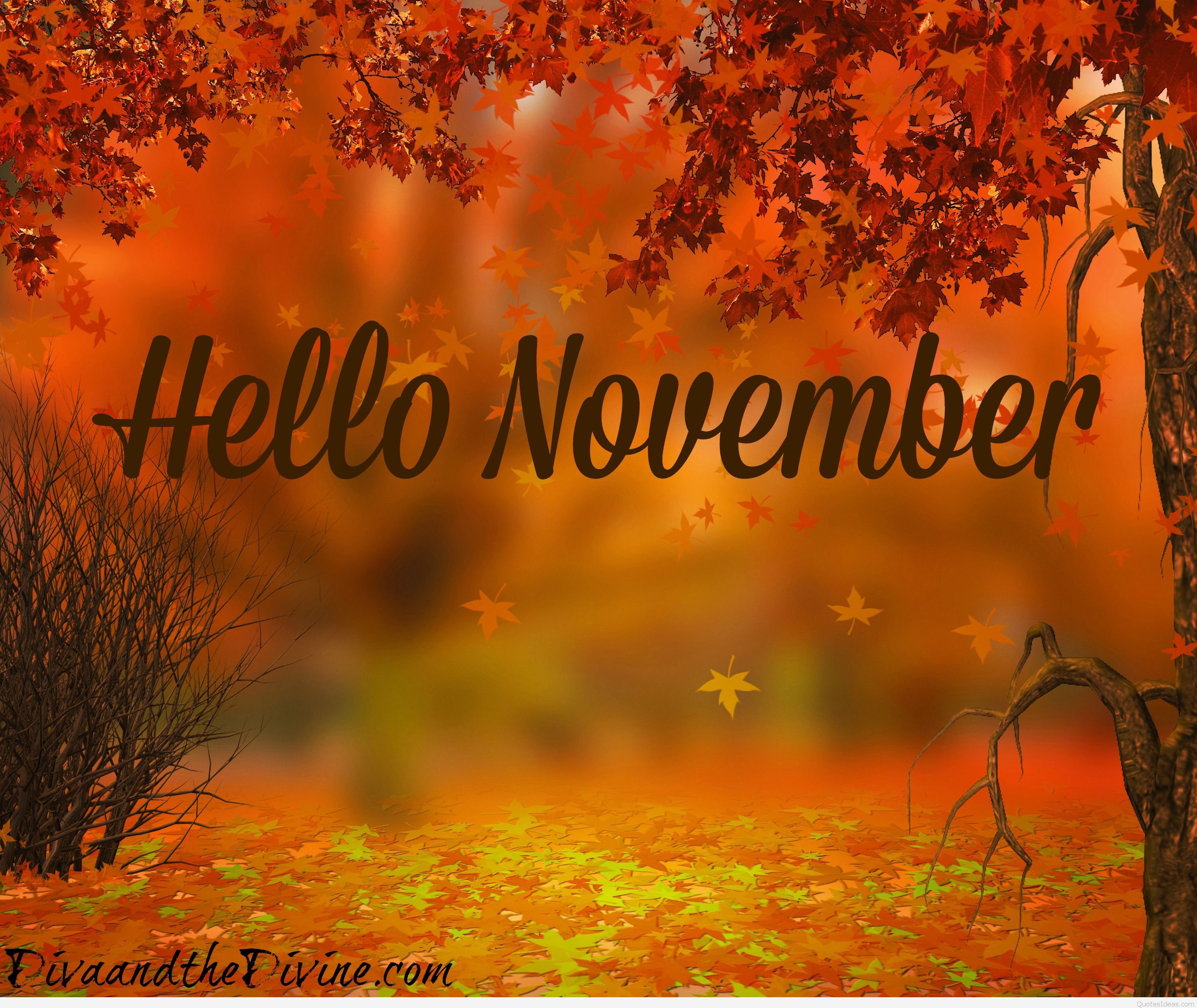 November is made for weekends